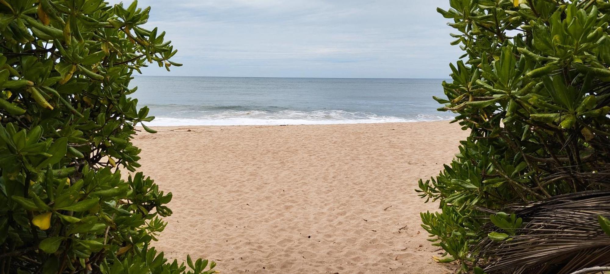 Eco Nest Marakolliya Bed & Breakfast Tangalle Exterior photo