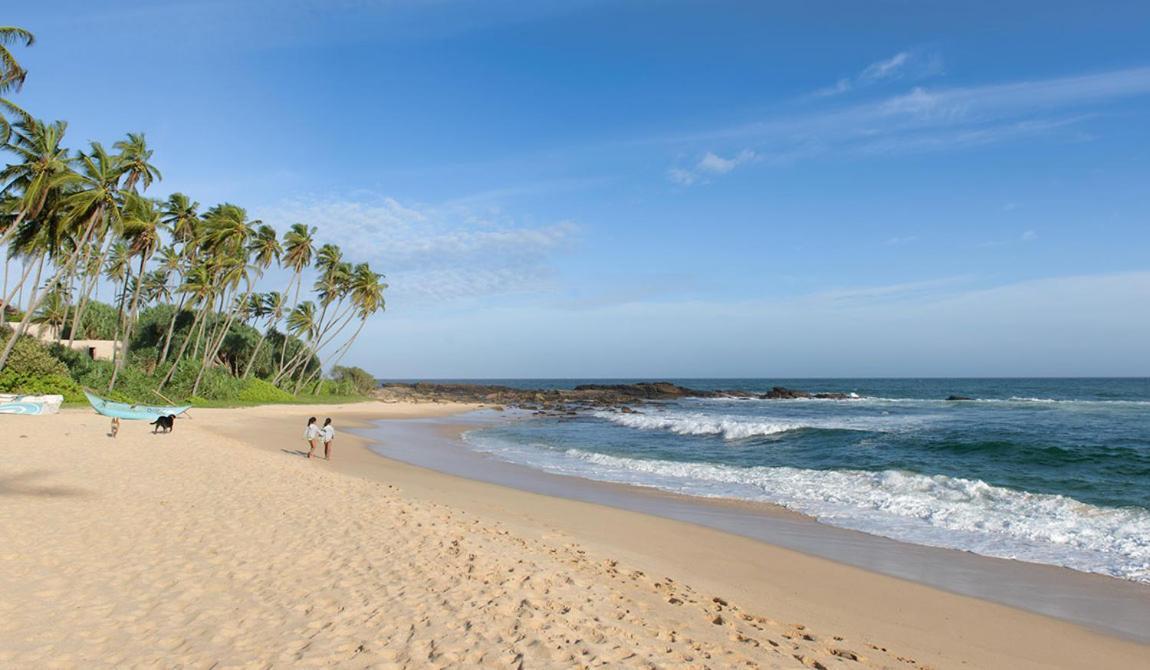 Eco Nest Marakolliya Bed & Breakfast Tangalle Exterior photo
